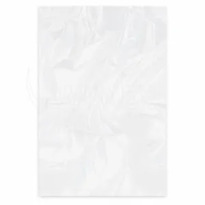 Sáčky ploché, silné transparentní LDPE 30 x 50 cm Typ 50 [100 ks] (68638)