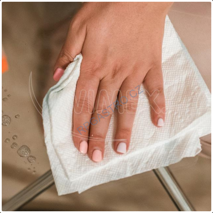 NEPOSÍLÁME - Kuchyňské utěrky tissue 2-vrstvé, 50 útržků [2 ks] (60112) Pouze osobní odběr