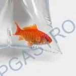 Sáčky LDPE 20 x 30 cm  [100 ks] (68622)