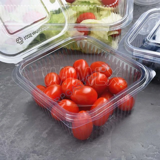 Miska hranatá průhledná s integrovaným víčkem 500 ml (rPET) [50 ks] (77705 )